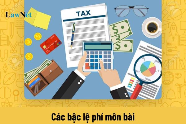 Các bậc lệ phí môn bài trong năm 2024?