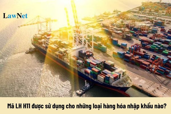 Mã LH H11 được sử dụng cho những loại hàng hóa nhập khẩu nào? 