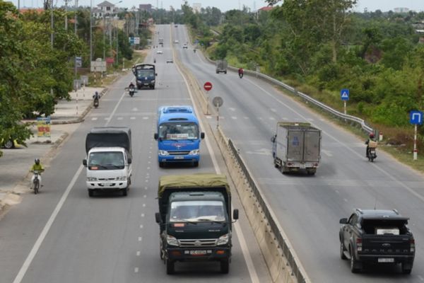 Pháp luật