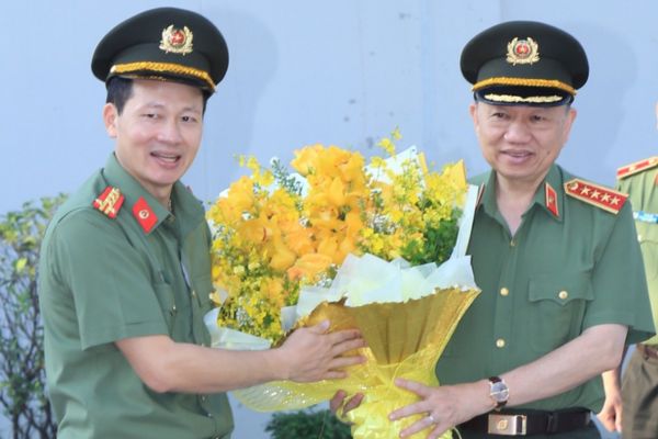 Pháp luật