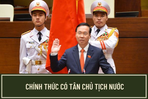 Pháp luật