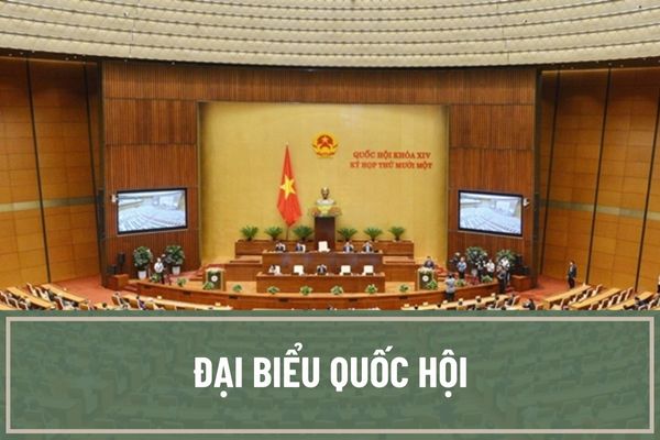 Đại biểu Quốc hội là những ai? Số lượng đại biểu Quốc hội tối đa là bao nhiêu người theo quy định hiện hành?