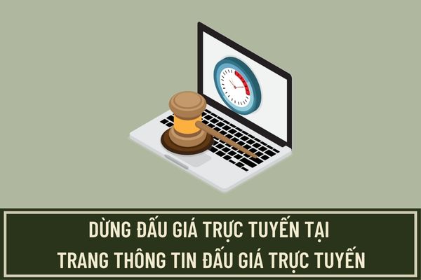 Bộ Tư pháp cho dừng đấu giá trực tuyến tại Trang thông tin đấu giá trực tuyến khi nào? Trang thông tin đấu giá trực tuyến phải đáp ứng những yêu cầu gì? 