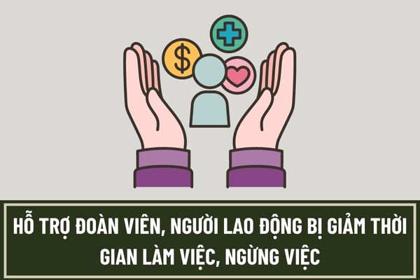 Pháp luật