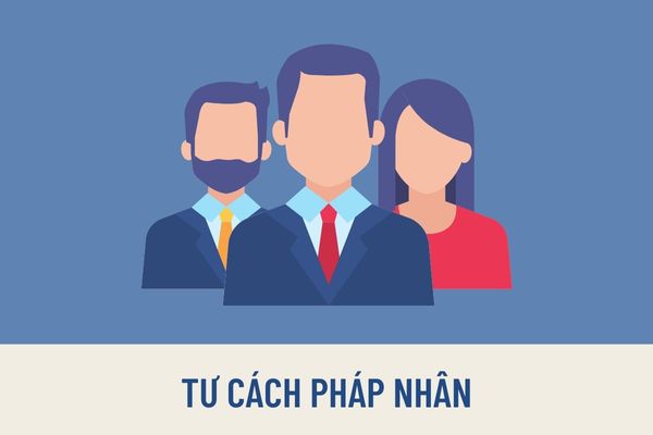 Pháp luật