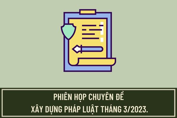 Pháp luật