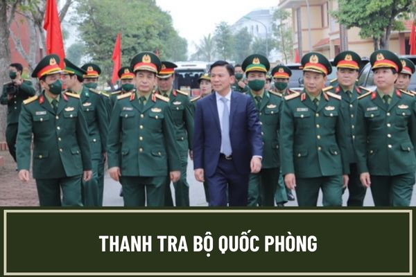 Pháp luật