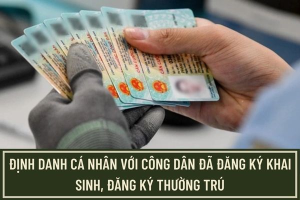 Pháp luật