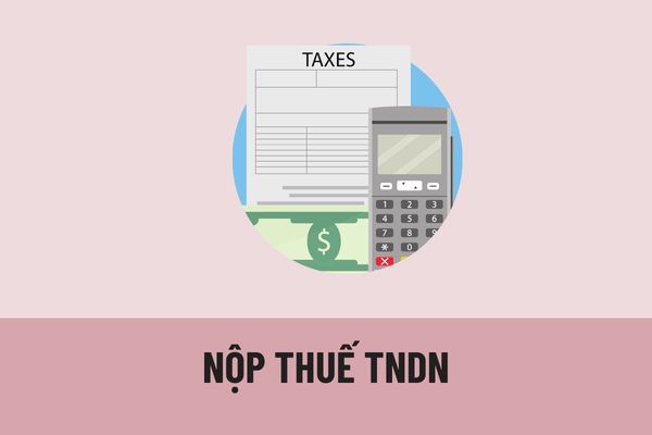 Số thuế thu nhập doanh nghiệp phải nộp cho cơ quan thuế được xác định như thế nào? Nơi nộp thuế TNDN được xác định dựa trên nguyên tắc nào?
