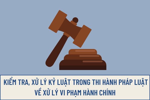 Pháp luật