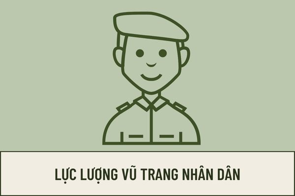 Pháp luật