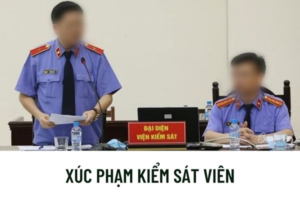 Pháp luật