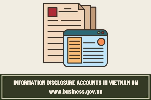 What contents are included in information disclosure accounts in Vietnam on www.business.gov.vn?