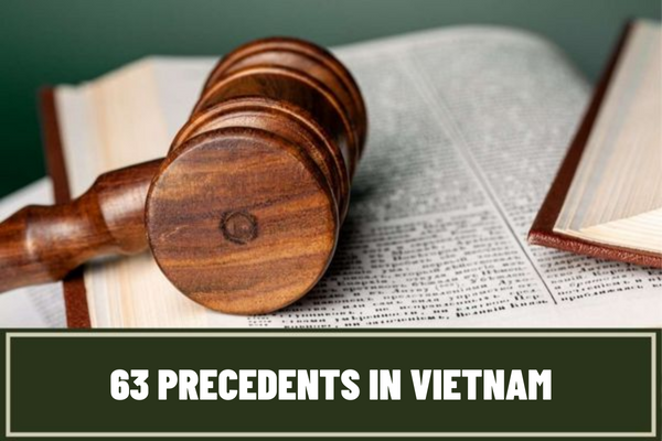 Vietnam: What are the 63 precedents that have been published? When can precedents be applied to adjudication?