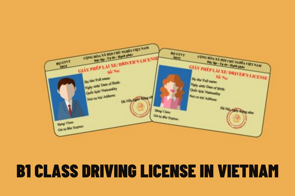 What vehicles can a B1 class driving license in Vietnam be used for? How long is the validity period of a B1 class license according to current regulations?