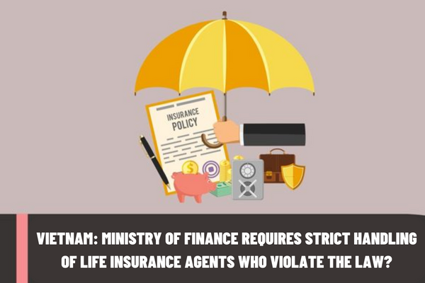 Vietnam: The Ministry of Finance requires strict handling of life insurance agents who violate the law? What are the rights of the policyholder?