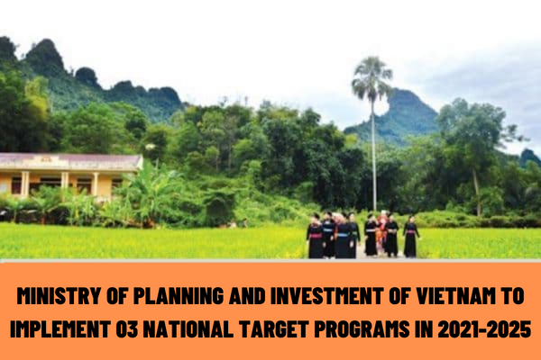 What are the tasks of the Ministry of Planning and Investment of Vietnam to implement 03 national target programs in 2021-2025?