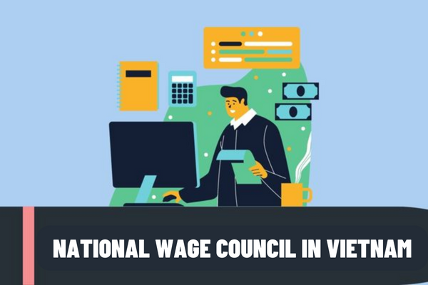 Who decides to establish the National Wage Council in Vietnam? What are the duties of the National Wage Council in Vietnam?