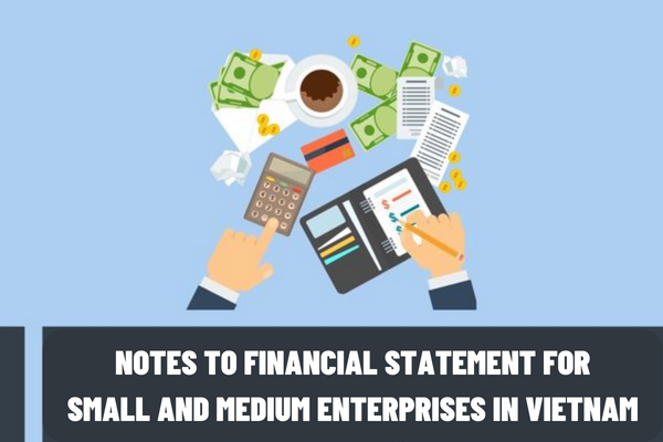 What is the form of Notes to financial statement for small and medium enterprises in Vietnam?