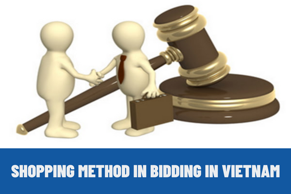 Which package of procurement does the Shopping Method apply to? What are the regulations on shortened process of shopping in Vietnam?