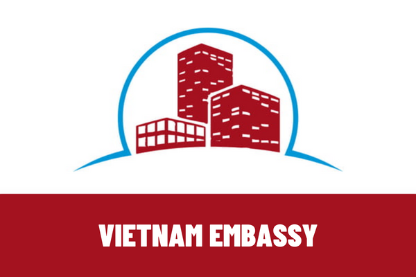 What is the Vietnam Embassy? What tasks does the Vietnam Embassy perform abroad?