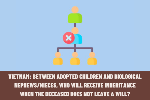 Vietnam: Between adopted children and biological nephews/nieces, who will receive the inheritance when the deceased does not leave a will?