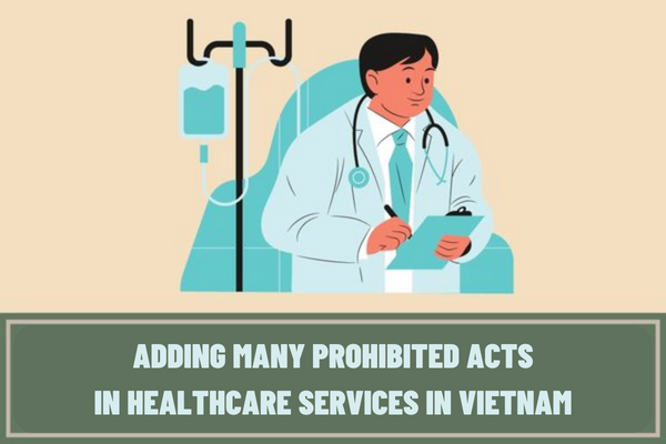 Adding many prohibited acts in healthcare services in Vietnam? What are the principles of provision of medical services?