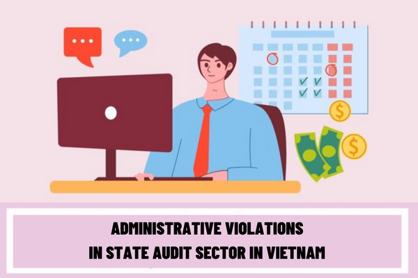 Summary of administrative fines in state audit sector in Vietnam? What are the penalties for administrative violations in state audit sector in Vietnam?