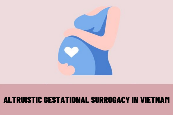 What are the procedures for applying for altruistic gestational surrogacy in Vietnam? How long does it take to process the procedures?