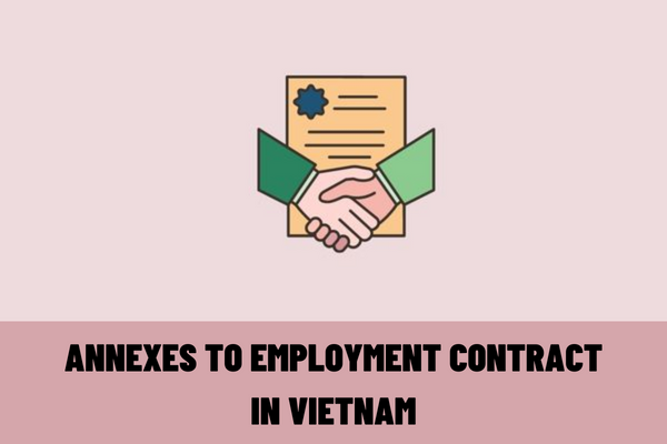 What are annexes to employment contract in Vietnam? Is it possible to sign an annex to employment contract to extend the employment contract in Vietnam?