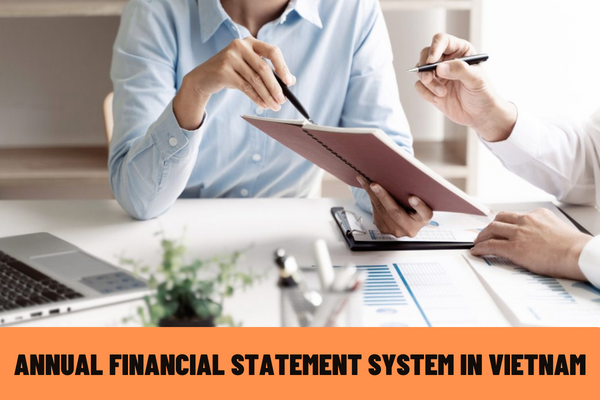 What is included in the annual financial statement system applied to small and medium enterprises satisfying the going concern assumption in Vietnam?