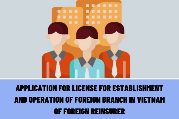 What is the application for a license for establishment and operation of a foreign branch in Vietnam of a foreign reinsurer?