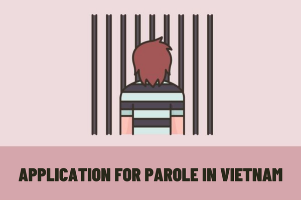 What is the application for parole in Vietnam? When is the time for consideration of parole in Vietnam?