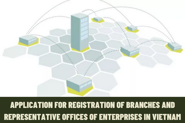 What is the application for registration of branches and representative offices of enterprises in Vietnam?