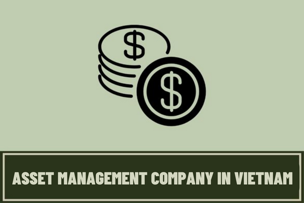 Which agency establishes asset management company of Vietnamese credit institutions according to current regulations?