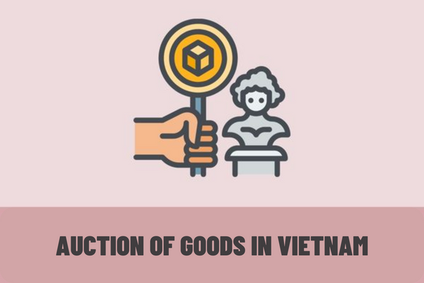 How are auctions of goods organized? What is the order of conducting the auction of goods in Vietnam?