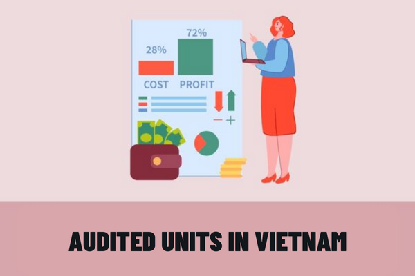 Vietnam: Can the audited unit refuse to provide information and documents at the request of the State Audit Office and the State Auditor?