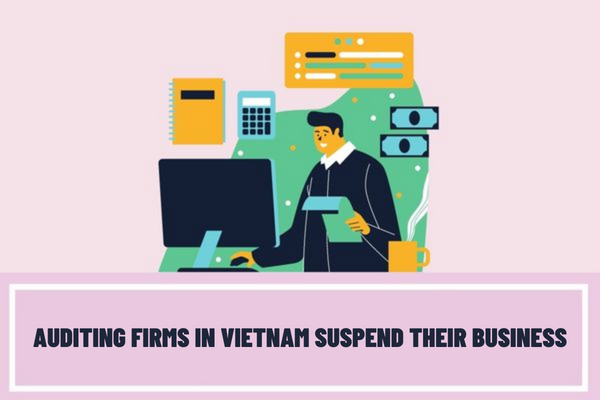 For how long can auditing firms in Vietnam suspend their business?