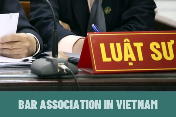 What is a bar association in Vietnam? What are the bodies of a bar association according to regulations?