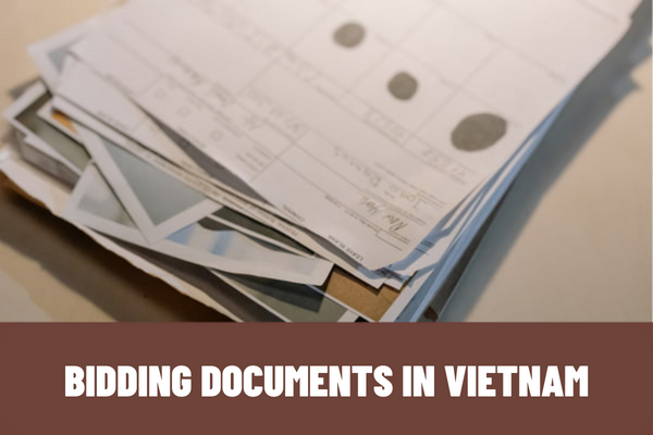 What conditions must be met in order to issue bidding documents in Vietnam? When is the bidding document issued?