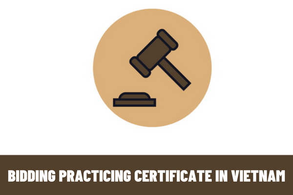 What is a bidding practicing certificate in Vietnam? Who is required to have a bidding practicing certificate in Vietnam?