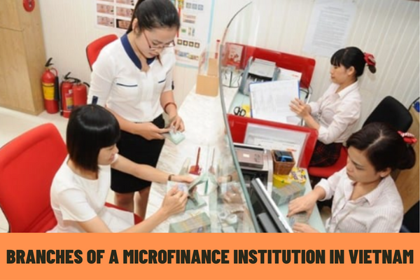 What contents must be included in a scheme for branch establishment of a microfinance institution in Vietnam? What are the procedures for approval for the establishment of a branch of a microfinance institution in Vietnam?