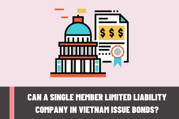 Can a single member limited liability company in Vietnam issue bonds? What are the procedures for making private placement of bonds?