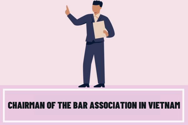 What are the criteria for the chairman of the Bar Association in Vietnam? What are the duties and powers of the Chairman of the Bar Association in Vietnam?