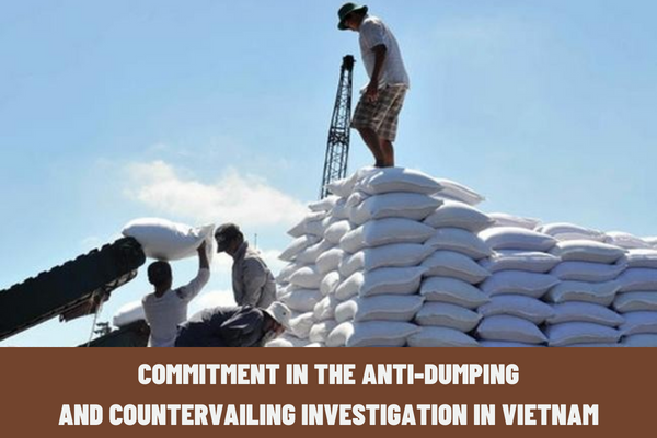 What are the bases of commitment in the anti-dumping and countervailing investigation in Vietnam?