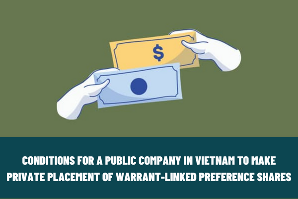 What are the conditions for a public company in Vietnam to make private placement of warrant-linked preference shares?