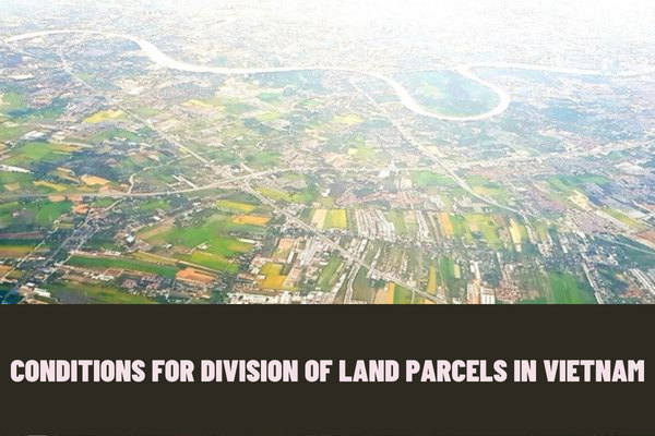 What are the conditions for division of land parcels in Vietnam? In which case is the land parcel ineligible for division according to current regulations?