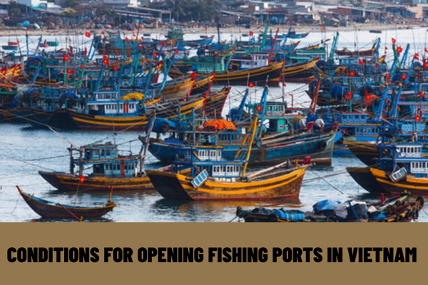 What conditions must be met to open fishing ports in Vietnam? What is the application for opening of fishing ports in Vietnam?