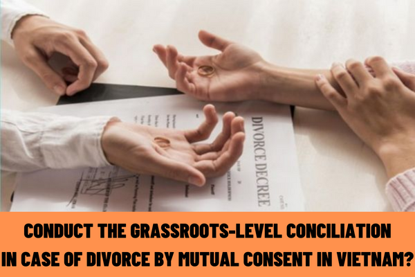 In case of divorce by mutual consent in Vietnam, are we required to conduct the grassroots-level conciliation? What cases are considered irreconcilable?