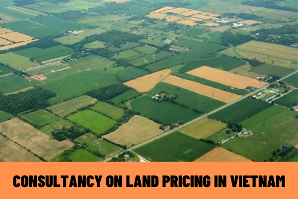 What are the principles of the consultancy on land pricing in Vietnam? What are the conditions for providing the consultancy on land pricing services in Vietnam?